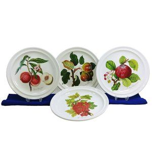Portmeiron Ponoma Dinner Plates 4 Pc Susan Williams-Ellis